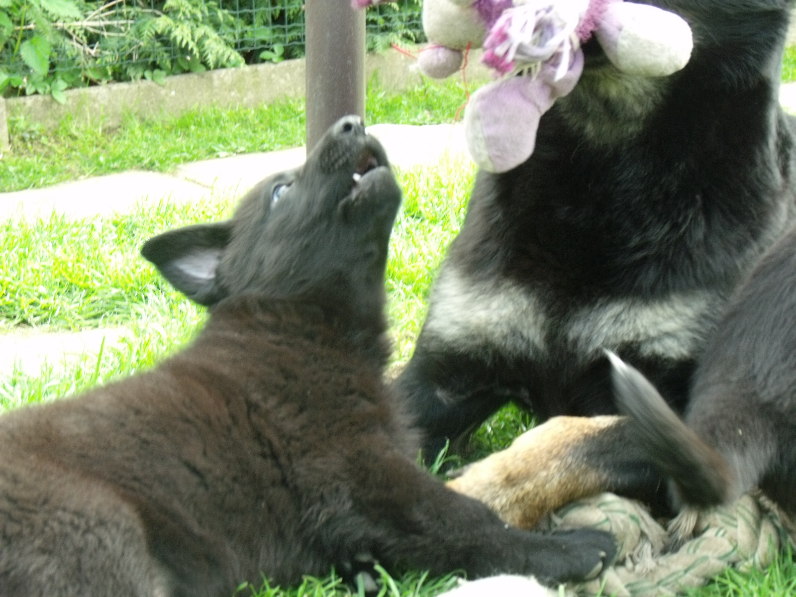 DSCF0052.jpg