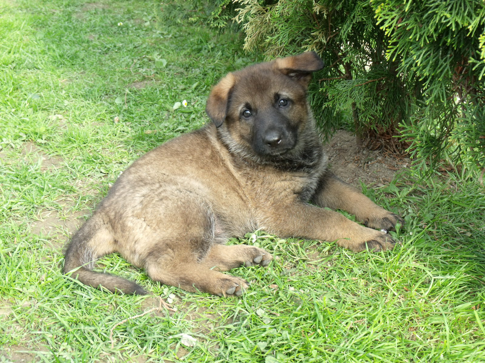 DSCF0075.jpg