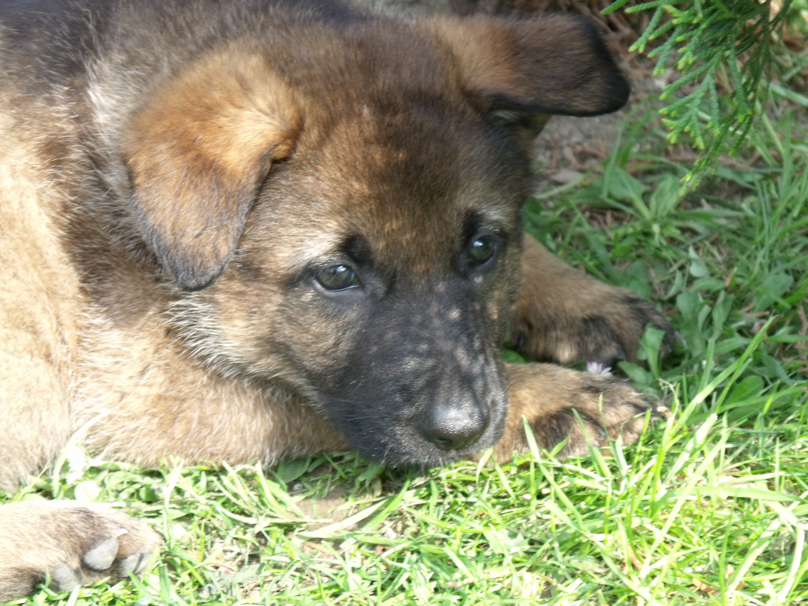 DSCF0077.jpg