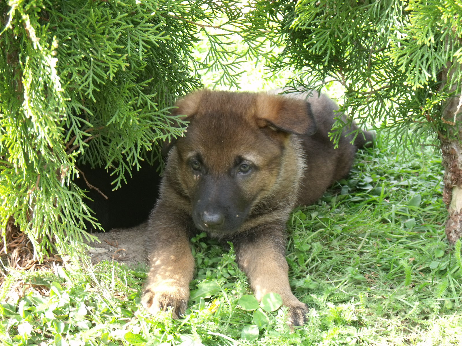 DSCF0080.jpg