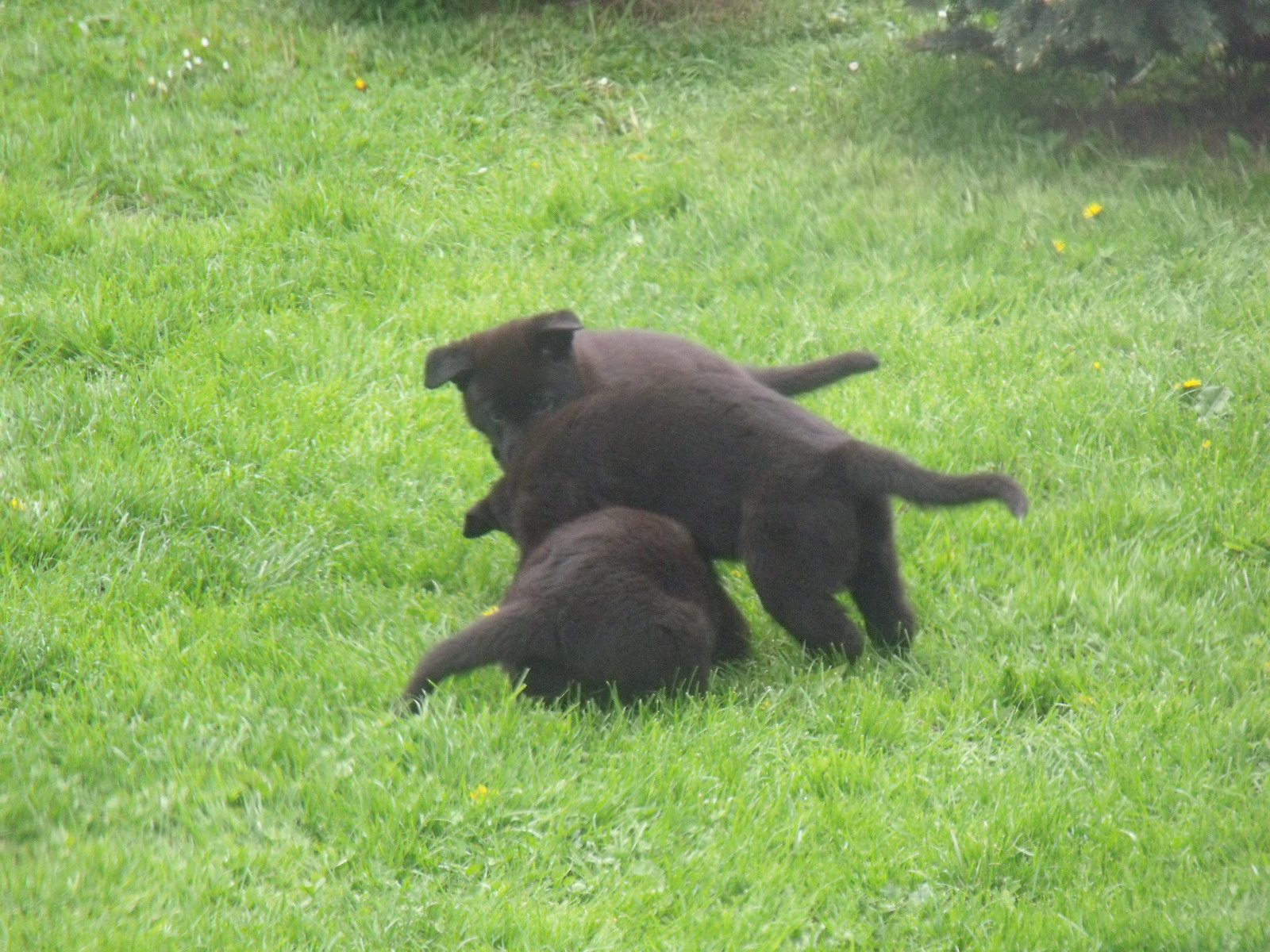 DSCF0094.jpg